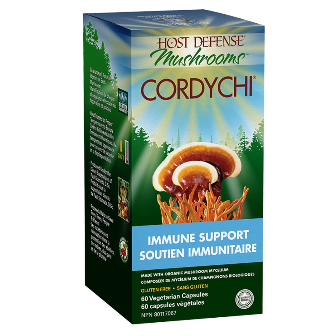 Cordychi