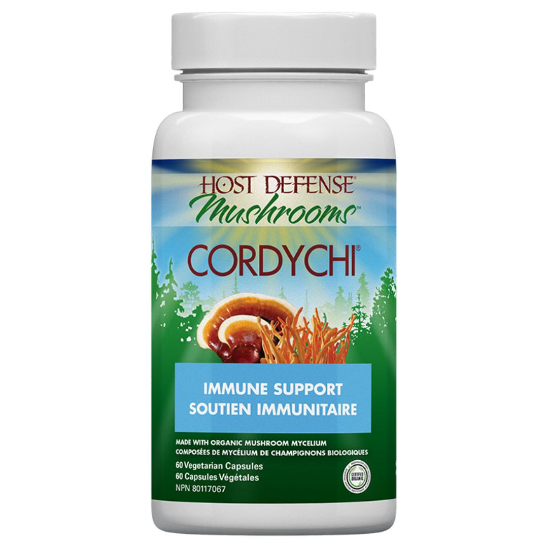 Cordychi