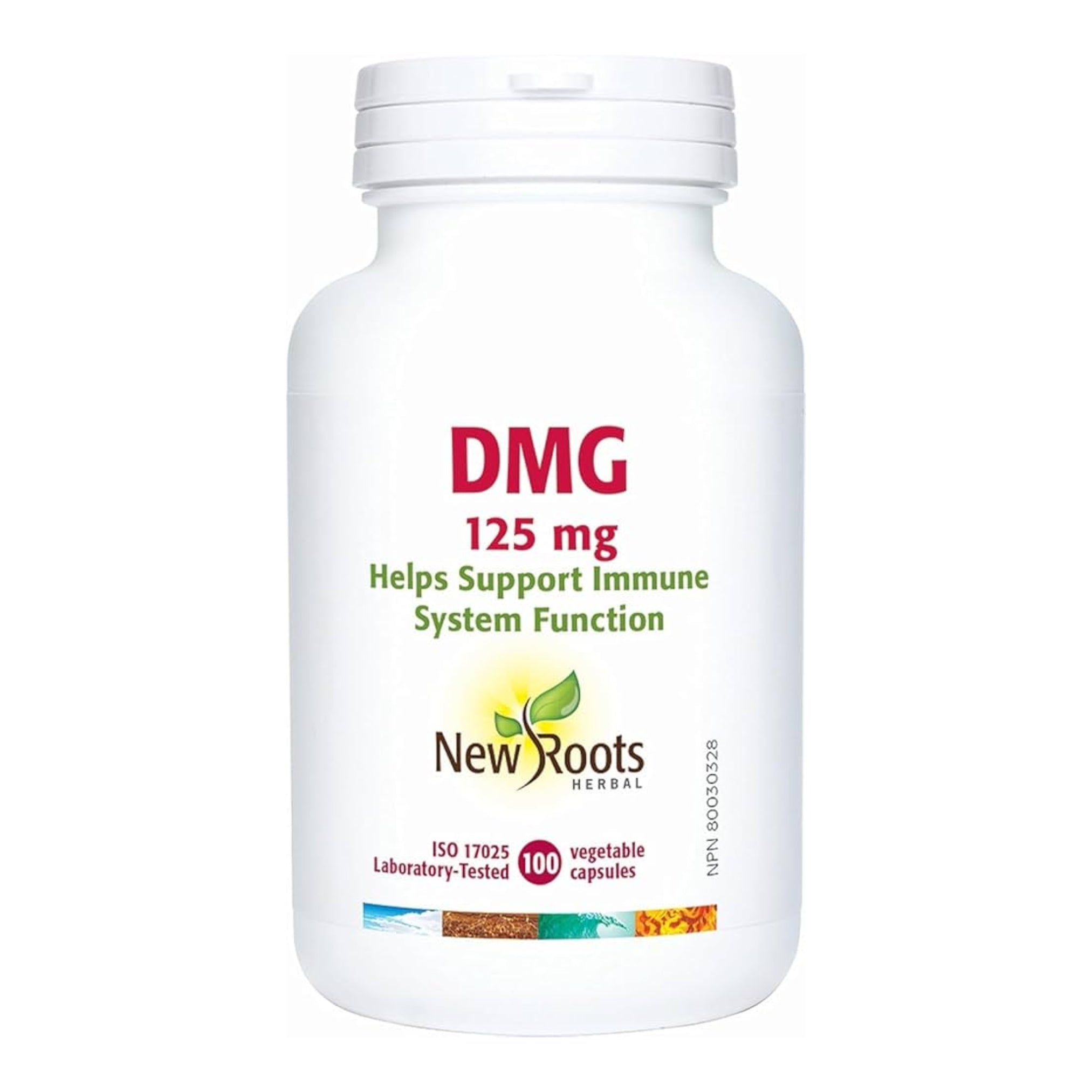 DMG - New Roots