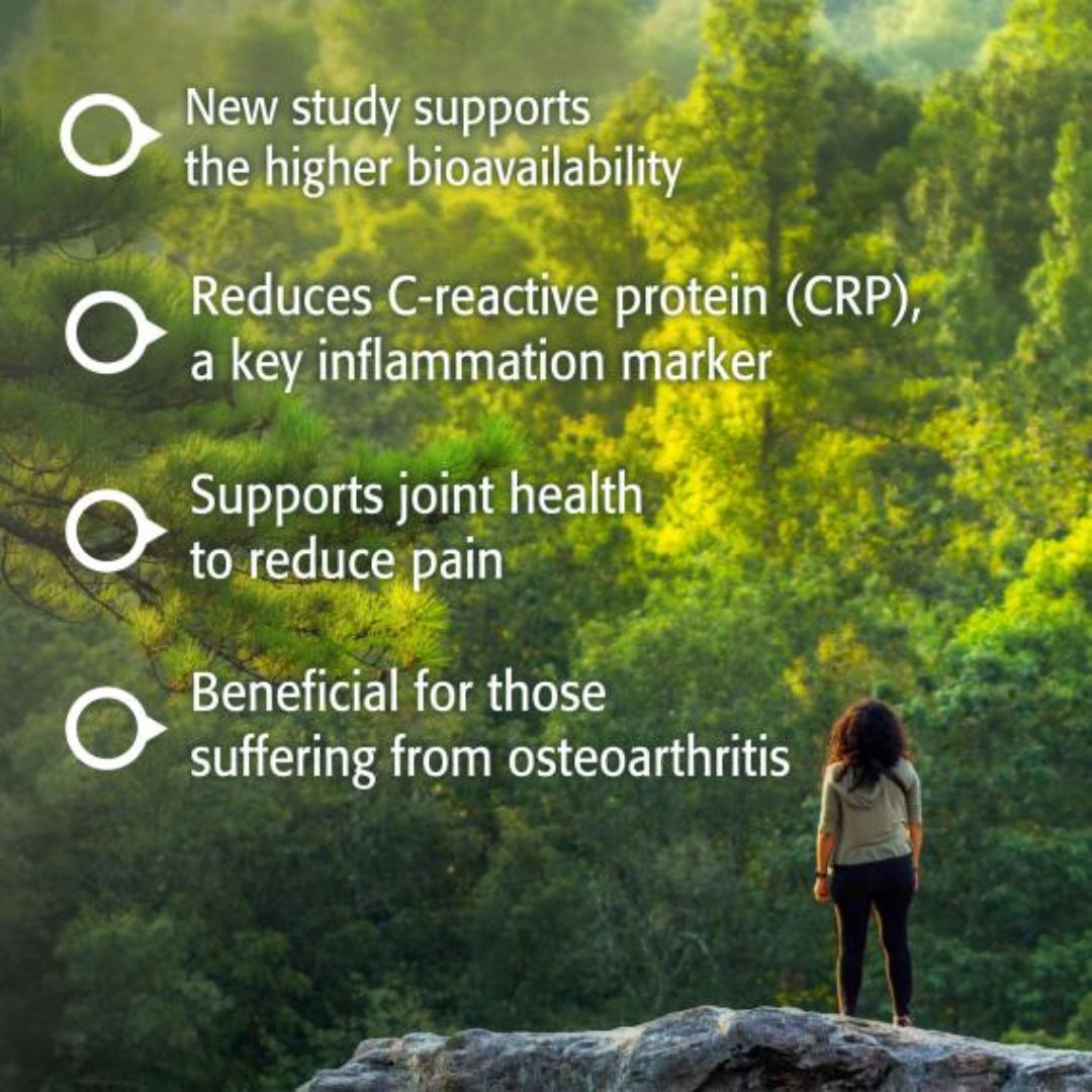 MaxAbsorb Curcumin