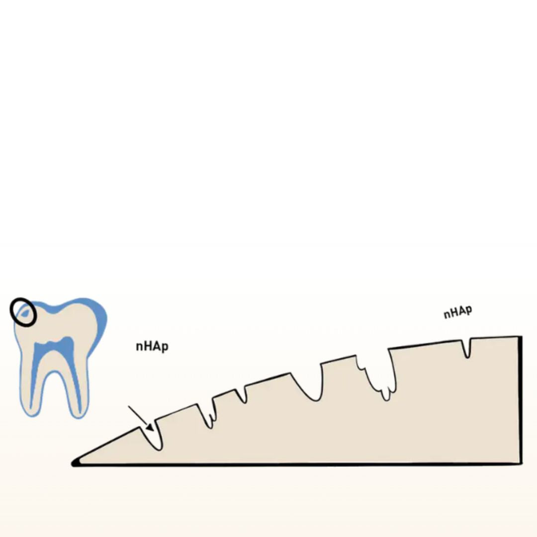 Tanitabs Toothpaste Tabs - Natural